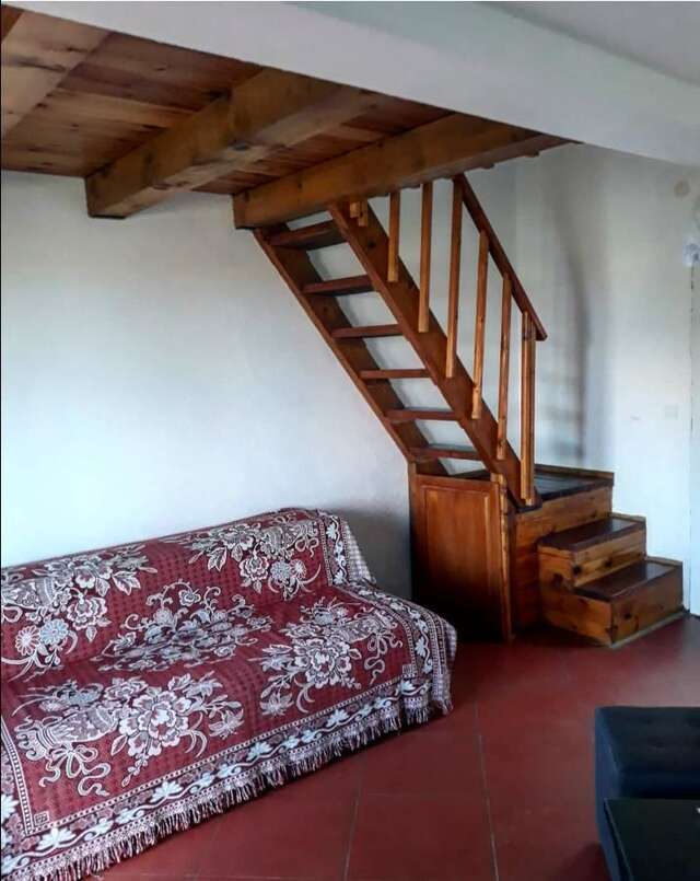 Апартаменты Draga`s rooms Вирпазар-12